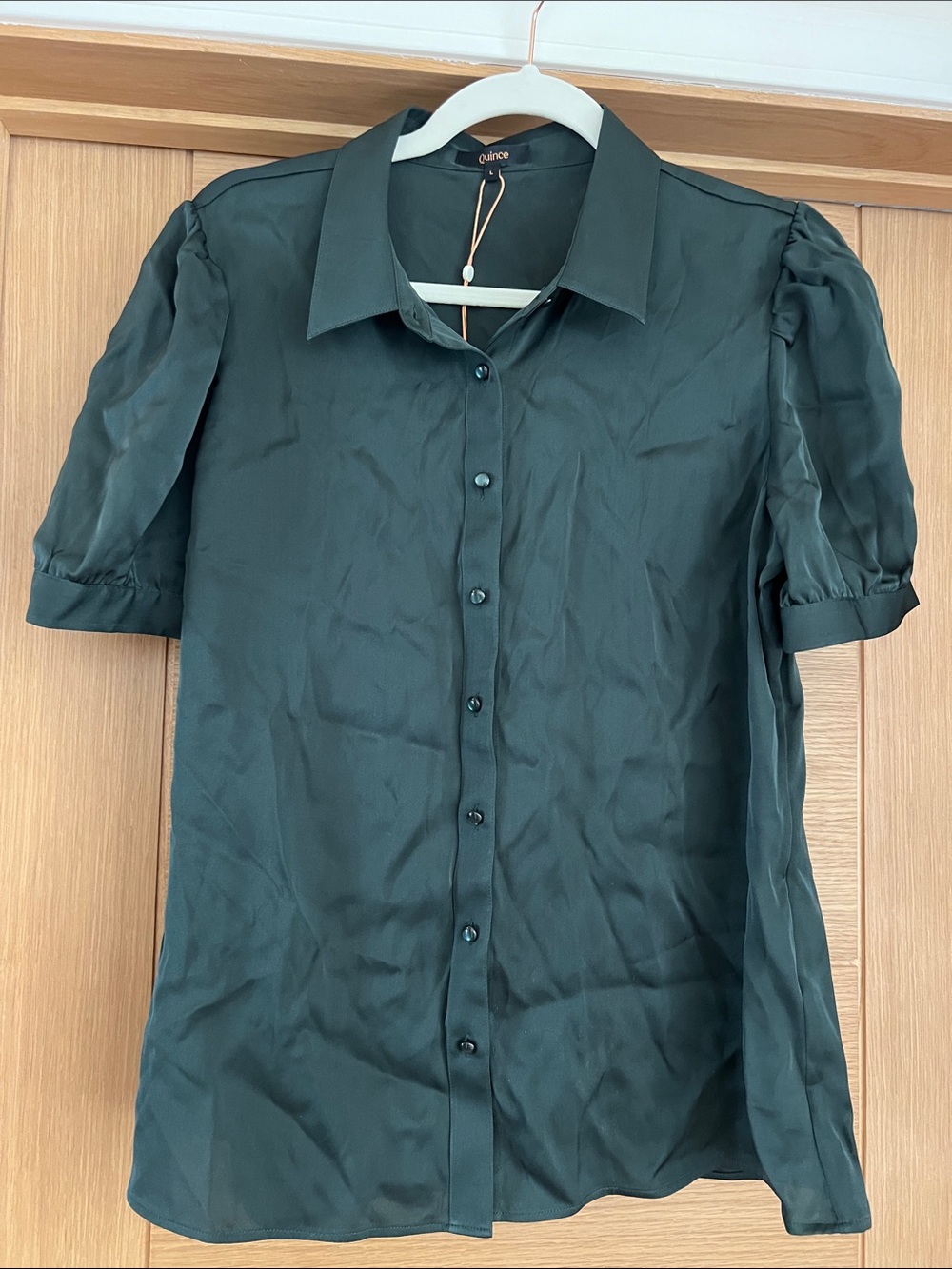 ⭐️ Washable Silk Blouse NWT 🦖